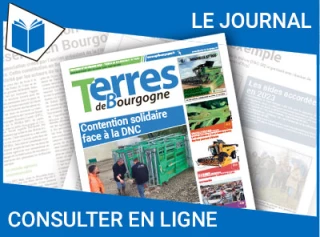 Consultez le journal