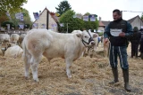 super prix honneur trophée viande thomas pipponiau