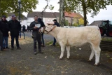super prix honneur laitonne automne régis remont