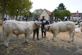 super prix honneur mathieu duverne