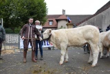 super prix honneur veau femelle gaudet gaec