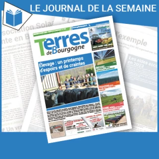Consulter le journal