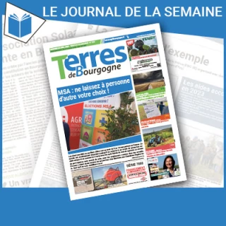 Consulter le journal