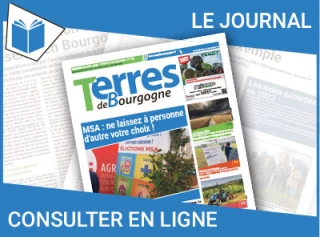 Consultez le journal