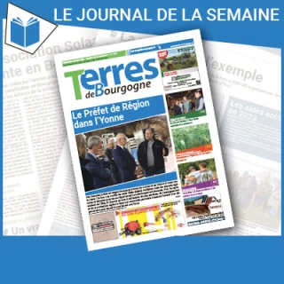 Consulter le journal