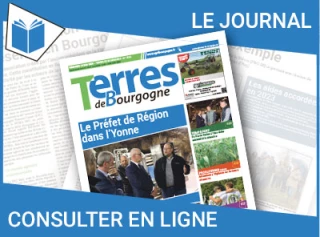 Consultez le journal