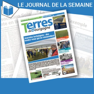 Consulter le journal