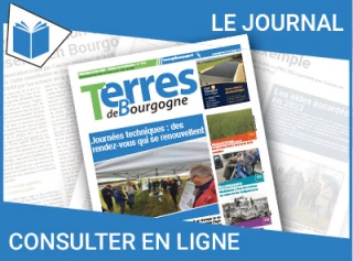 Consultez le journal