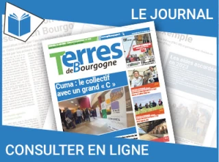 Consultez le journal