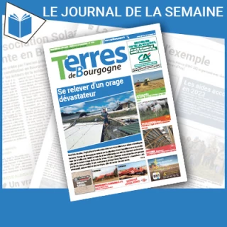 Consulter le journal