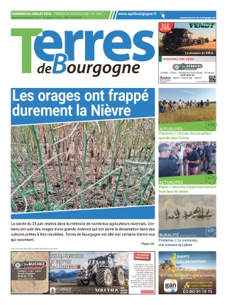 Consulter le journal