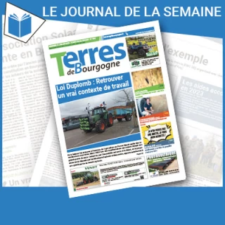 Consulter le journal