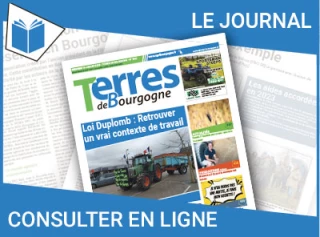 Consultez le journal