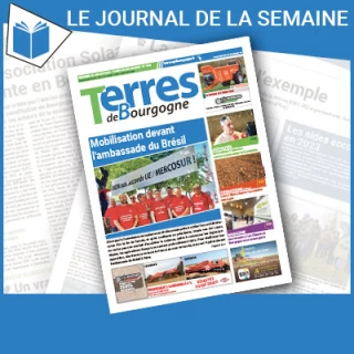 Consulter le journal