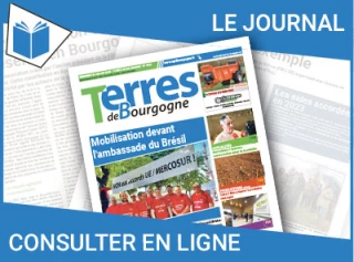 Consultez le journal