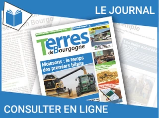 Consultez le journal