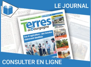 Consultez le journal
