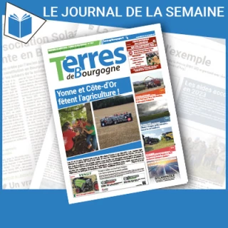 Consulter le journal