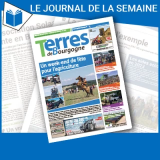Consulter le journal