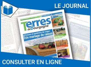 Consultez le journal