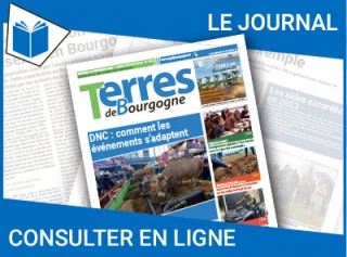 Consultez le journal