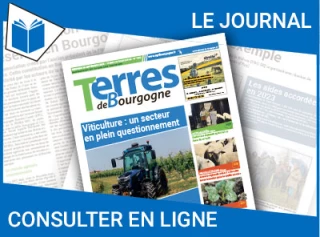 Consultez le journal