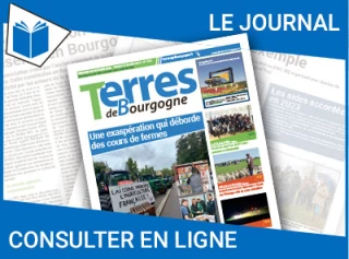 Consultez le journal