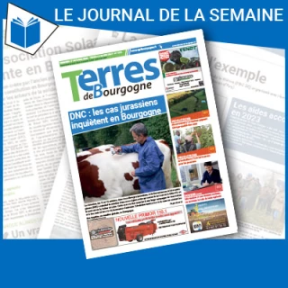 Consulter le journal