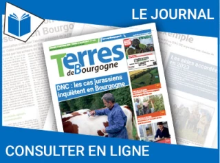 Consultez le journal