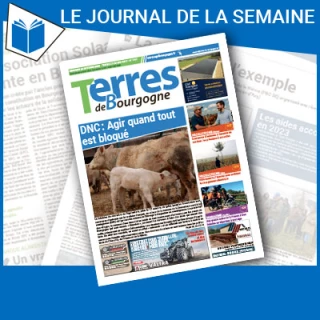 Consulter le journal