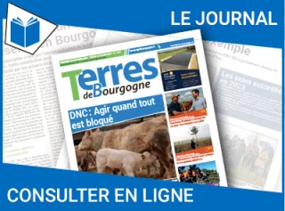 Consultez le journal
