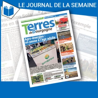 Consulter le journal