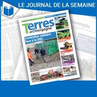 Consulter le journal