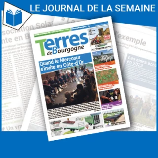 Consulter le journal