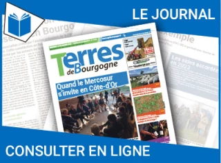 Consultez le journal