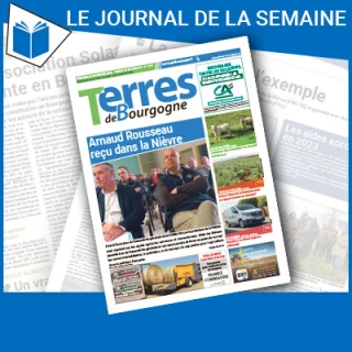 Consulter le journal