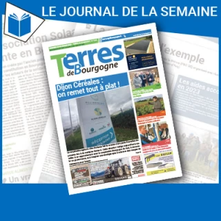 Consulter le journal