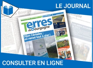 Consultez le journal