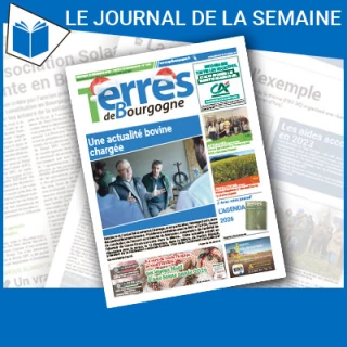 Consulter le journal