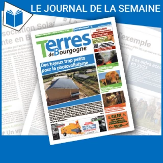 Consulter le journal