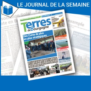 Consulter le journal