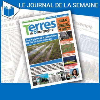 Consulter le journal