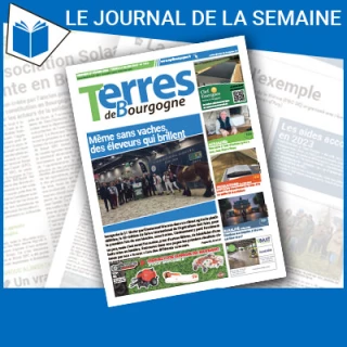 Consulter le journal