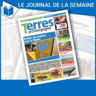 Consulter le journal