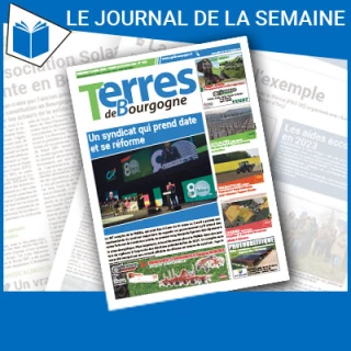 Consulter le journal