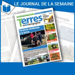 Consulter le journal