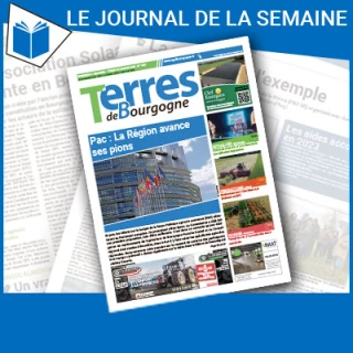 Consulter le journal