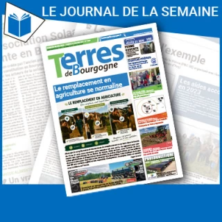 Consulter le journal
