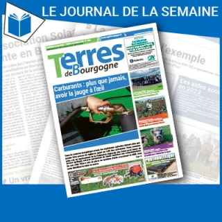 Consulter le journal