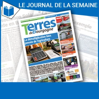 Consulter le journal